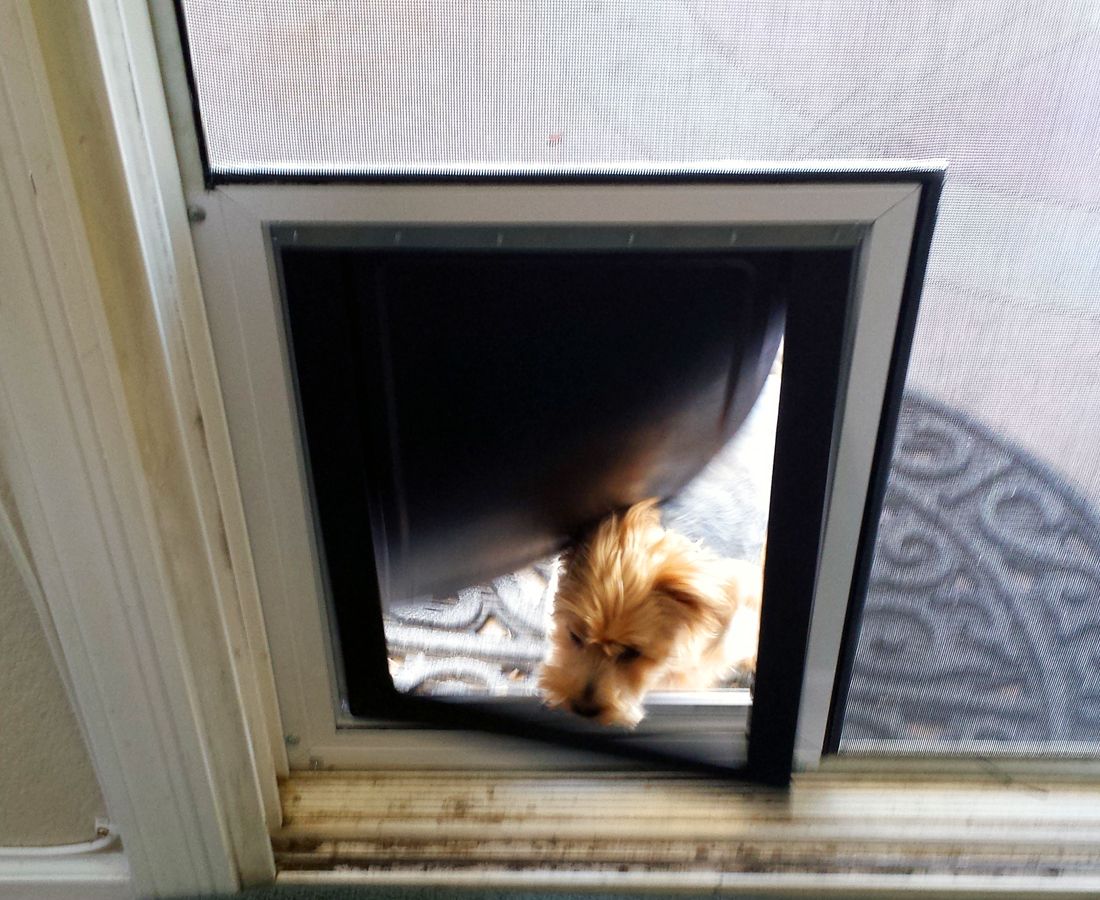 Pride Pet Doors Screen Door Adapter Small Small / 260 Cat Doors Steps