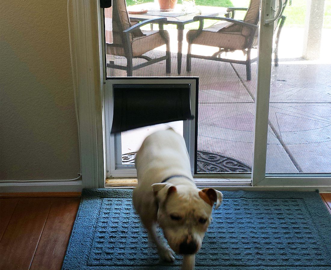 Mike's Mobile Screen & Chimney Service